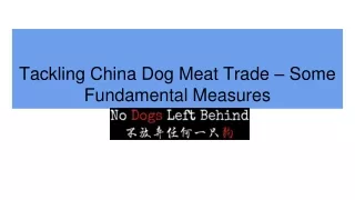 Tackling China Dog Meat Trade – Some Fundamental Measures