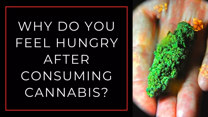 why do you feel hungry after consuming cannabis