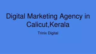 Best Digital Marketing Agency in Calicut,Kerala