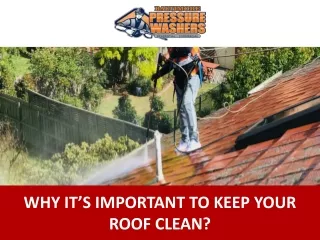 Why It's Important to Keep Your Roof Clean?