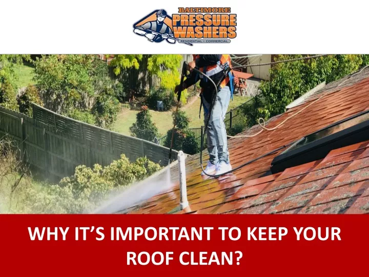 why it s important to keep your roof clean