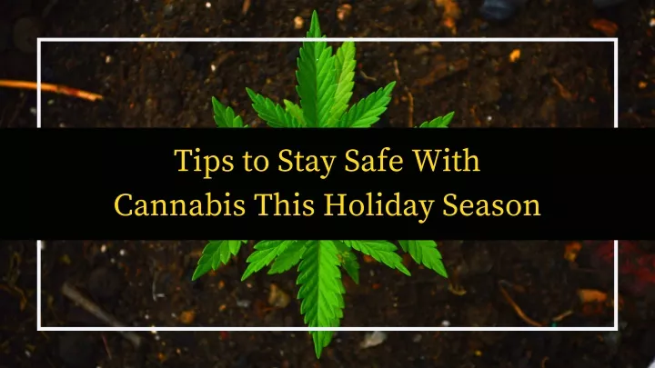 tips to stay safe with cannabis this holiday