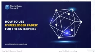 How to use Hyperledger Fabric for the enterprise