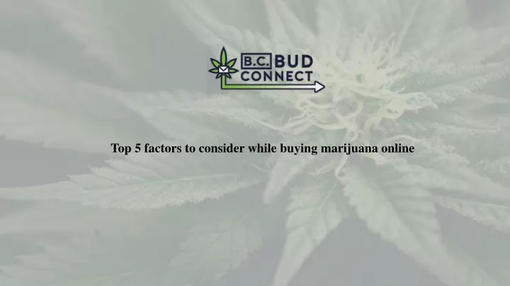 top 5 factors to consider while buying marijuana online