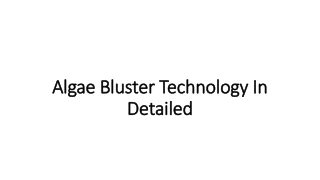 algae bluster technology in detailed