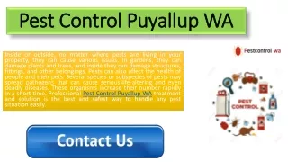 Pest Control Puyallup WA