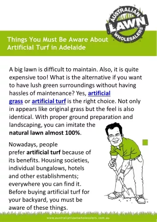 Things You Must Be Aware About Artificial Turf in Adelaide