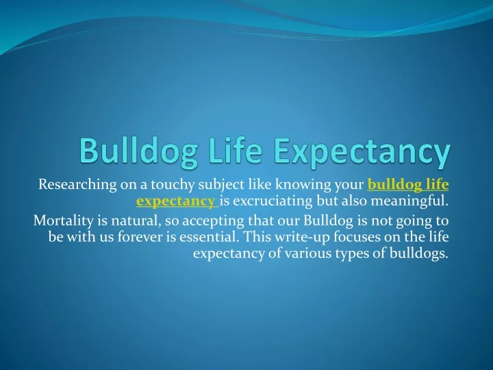 bulldog life expectancy