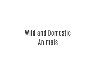 Domestic And Wild Animals