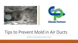 Tips to Prevent Mold in Air Ducts