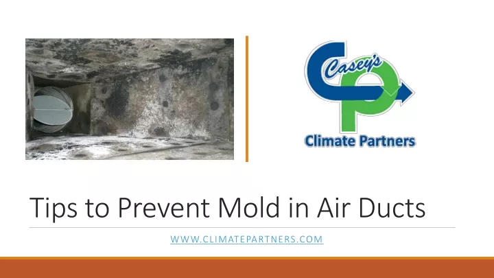 tips to prevent mold in air ducts
