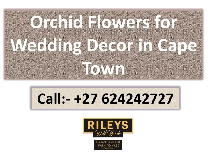 orchid flowers for wedding decor in cape town
