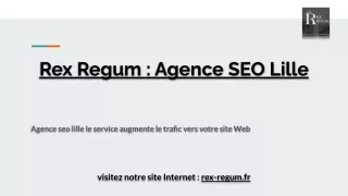 Agence SEO Lille