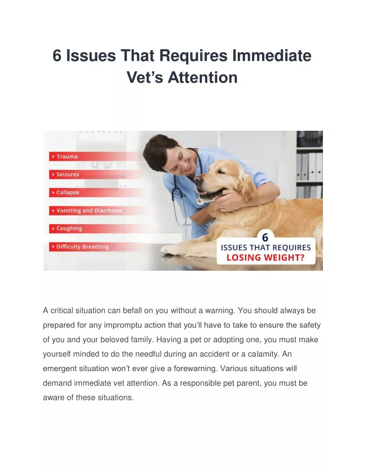 6 issues that requires immediate vet s attention