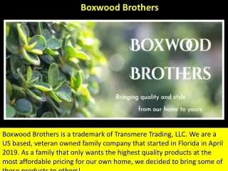 boxwood brothers