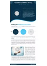 White Bitcoin History- A high return investment option - slide 1