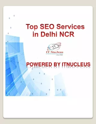 Top Website Design And Development Company in Delhi - Best SEO Services in Delhi  - IT Nucleus