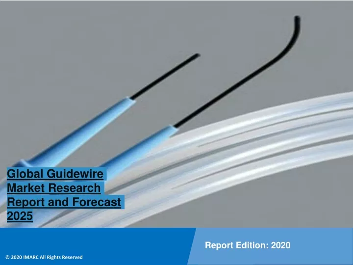 global guidewire market research report