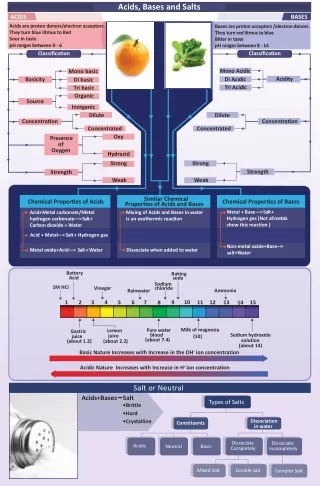 acids bases and salts