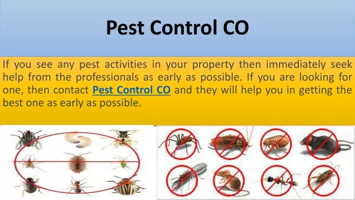 pest control co