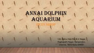 pet shop in chennai | best pet store in chennai nanganallur| Aquarium World