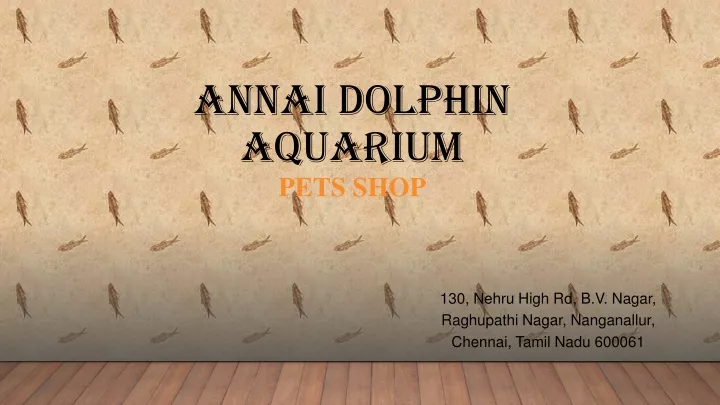 annai dolphin aquarium pets shop