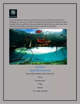 come and explore an underwater world of turquoise