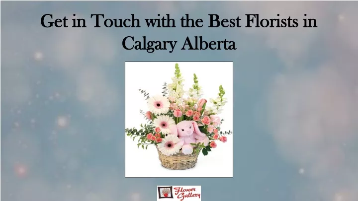 get in touch with the best florists in calgary