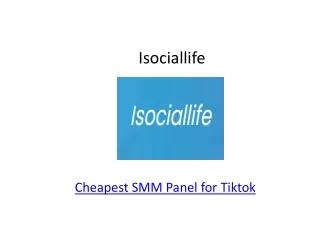 Best Smm Panel for Tiktok