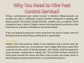 Why You Need to Hire Pest Control Service?