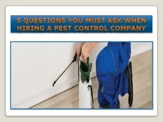 5 Questions You Must Ask When Hiring a Pest Control Company