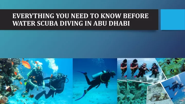 everything you need to know before water scuba diving in abu dhabi