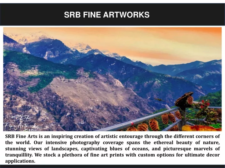 srb fine artworks