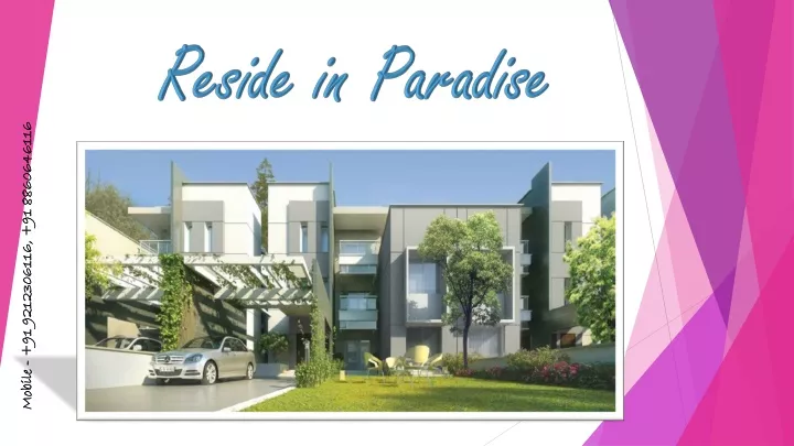 reside in paradise