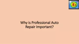 Why is Professional Auto Repair Important?