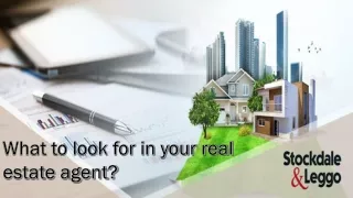 What to look for in your real estate agent?