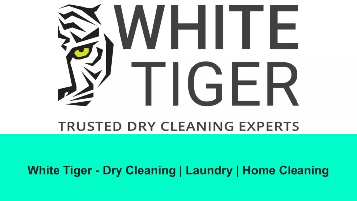white tiger dry cleaning laundry home cleaning