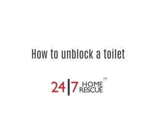 A Complete Guide On How To Unblock A Toilet [Infographic]