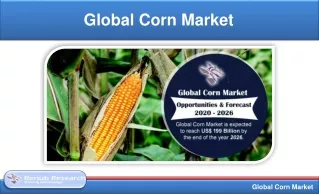global corn market
