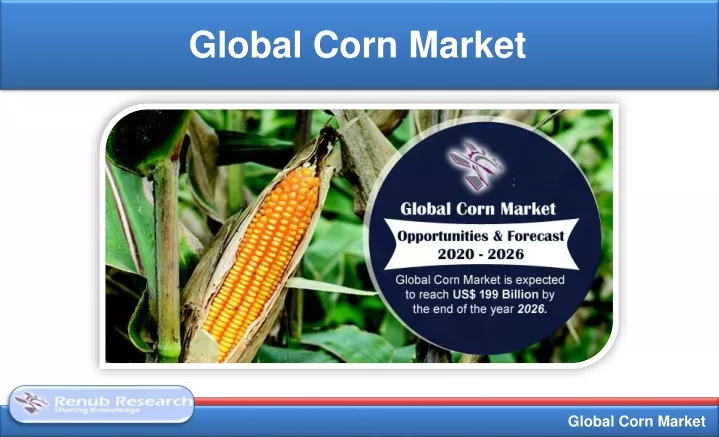 global corn market