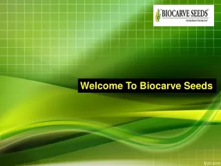 Welcome To Biocarve Seeds