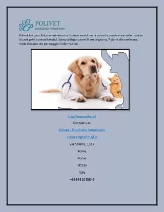 Migliore clinica veterinaria | Polivet
