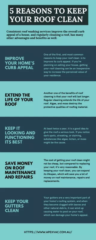 5 Reasons to Keep Your Roof Clean - Infographic