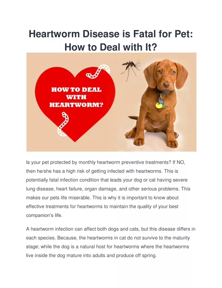 heartworm disease is fatal for pet how to deal
