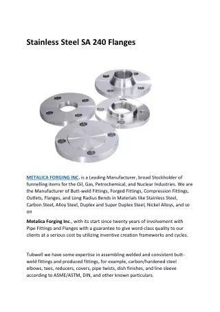 Stainless Steel SA 240 Flanges