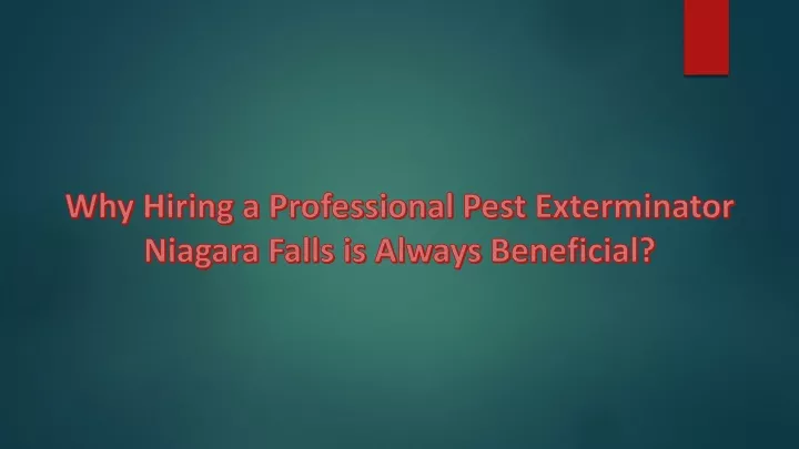 why hiring a professional pest exterminator