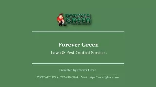 Lawn and Pest Control Service in Florida | Forever Green