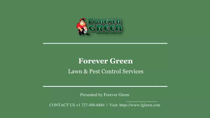 forever green lawn pest control services