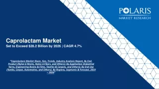 Caprolactam Market Strategies and Forecasts, 2020 to 2026