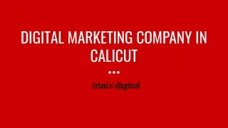Trinix Digital - Best Digital Marketing Agency in Calicut,Kerala